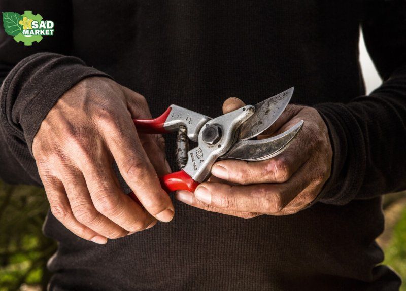 Секатор садовий Felco4 Felco4 фото