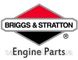 Кольца поршневые двигателя BRIGGS&STRATTON 219802 282H07 792306 фото 3