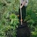 Грабли стальные с ручной для грунта Fiskars Solid, 16 зубьев 1011600 фото 4