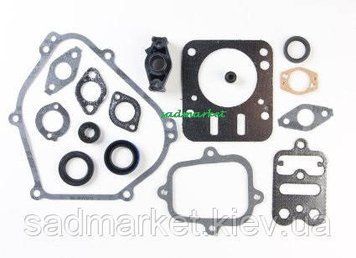 Прокладка к-кт двигателя BRIGGS&STRATTON INTEK 5.5 698216 фото