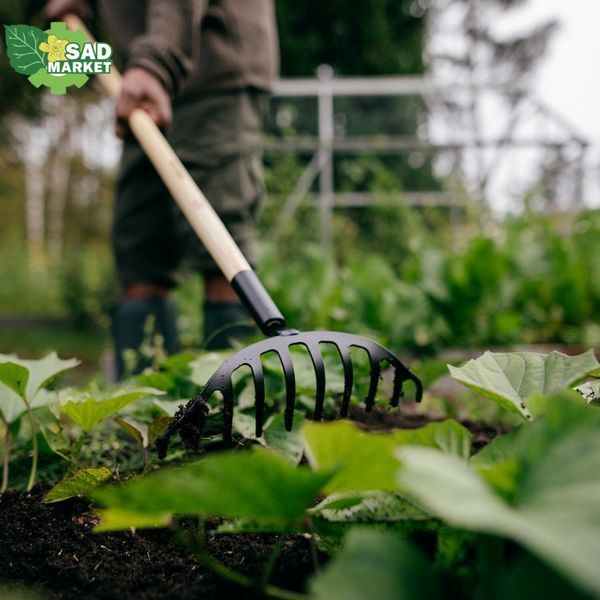Грабли для роз с деревянной ручкой Fiskars Solid (1011597) 1011597 фото