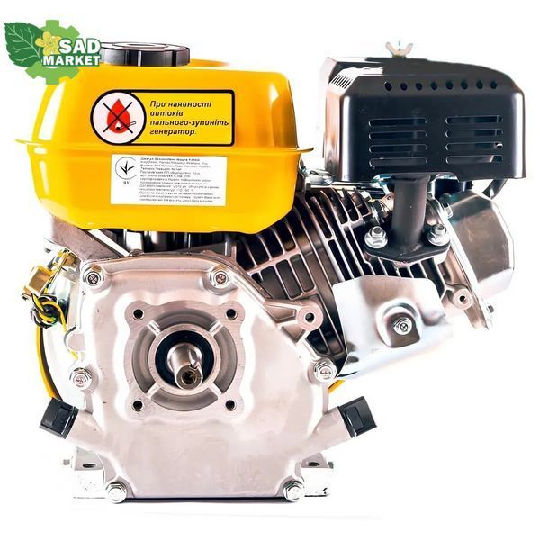 Двигатель бензиновый FORTE F200G (29962) 29962 фото