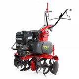 Мотоблок бензиновый EUROSYSTEMS Z8, Briggs & Stratton CR950 948101200 фото