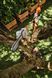 Высоторез аккумуляторный STIHL HTA 30 SET LA050116418 фото 8