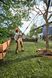 Высоторез аккумуляторный STIHL HTA 30 SET LA050116418 фото 7