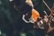 Секатор акумуляторний STIHL ASA 130 VA070116201 фото 7