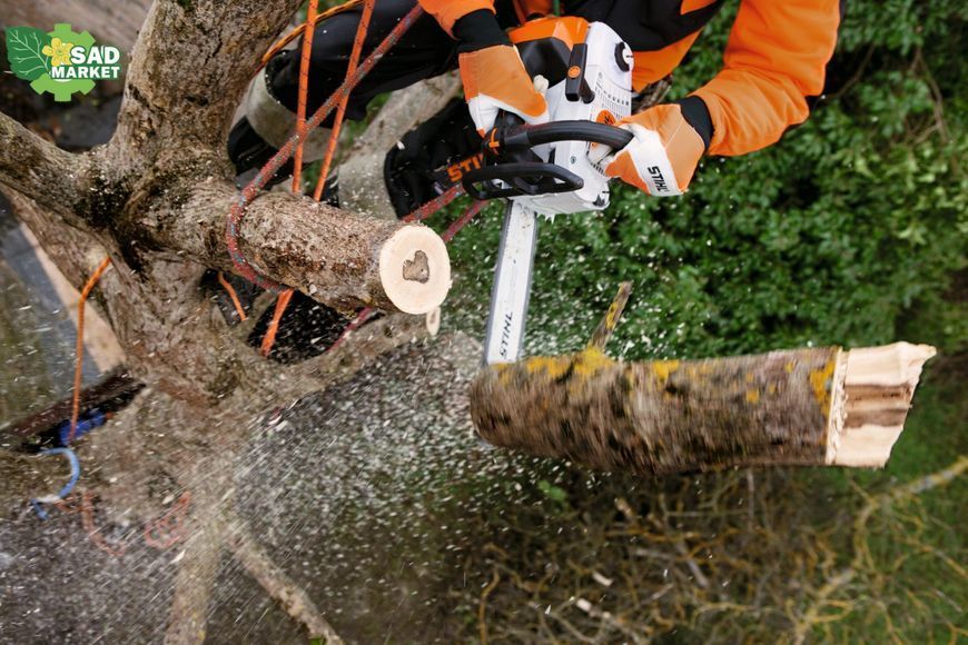 Бензопила STIHL MS 201 TC-M 11452000268 фото