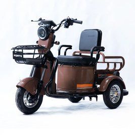 Трицикл акумуляторний FORTE CARGO-P650 (коричневий) 145244 фото