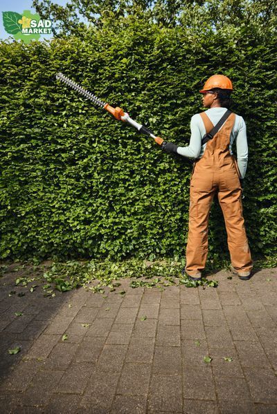 Ножницы для живой изгороди аккумуляторные STIHL HLA 40 HA100112904 фото