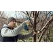 Секатор акумуляторний Bosch Professional Pro Pruner SET 06019K1021 фото 5