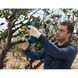 Секатор акумуляторний Bosch Professional Pro Pruner SET 06019K1021 фото 6