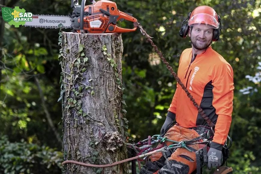 Бензопила Husqvarna 545 II 9676906-35 фото