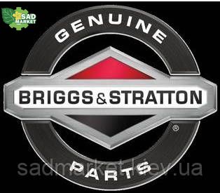 Прокладка циліндра двигуна BRIGGS&STRATTON 450-500 Seria 698717 фото