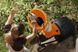 Подрібнювач садовий електричний STIHL GHE 250 (60080111040) 60080111040 фото 3
