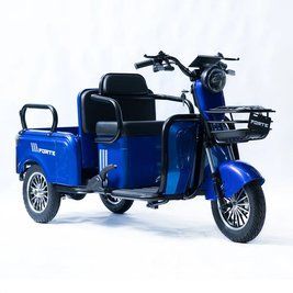 Трицикл акумуляторний FORTE CARGO-P800, Синій 145419 фото