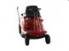 Трактор садовий (райдер) Eurosystems Slalom 76, Briggs & Stratton PowerBuilt 3125 955230000 фото 6