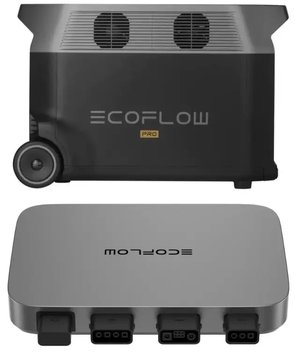 Комплект энергонезависимости EcoFlow PowerStream – микроинвертор 600W + зарядная станция Delta Pro DELTAPro-EU-C20/EFPowerStreamMI-EU-600W/EFL-BKWDELTAProCable-0.5m фото