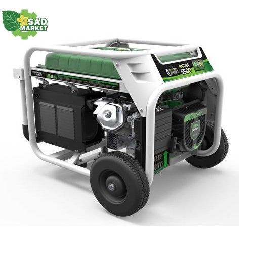Генератор двухтопливный GENERGY NATURA 5000 5,5 /5 кВт 240026090 фото