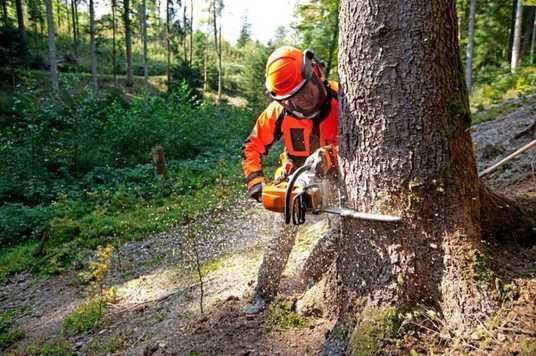 Бензопила STIHL MS 182 C-BE 40 см купить в Киеве 11482000328