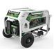 Генератор двухтопливный GENERGY NATURA 5000 5,5 /5 кВт 240026090 фото 1