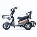 Трицикл аккумуляторный Forte S1-P600, Черный 145206 фото 2