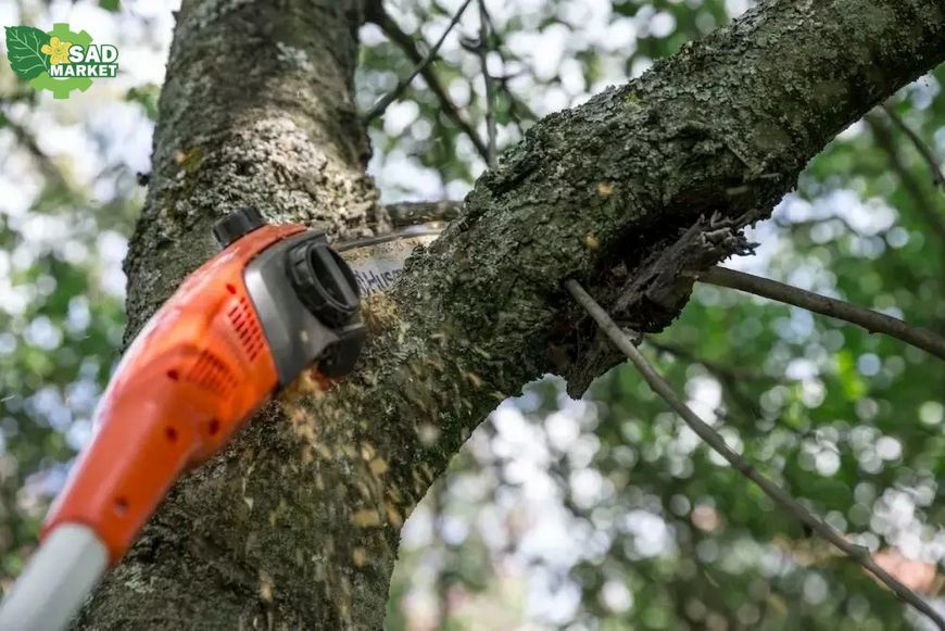 Высоторез - насадка со штоком комбисистемы HUSQVARNA PK4 5293519-01 фото