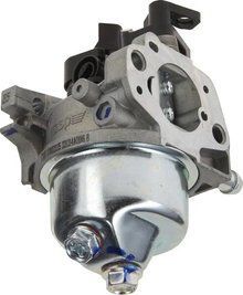 Карбюратор в сборе бензинового двигателя AL-PRO 125 QSS 418649 фото
