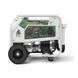 Генератор двухтопливный GENERGY NATURA 7000 7 / 6 кВт 240027090 фото 2