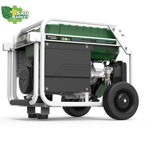 Генератор двухтопливный GENERGY NATURA 3000 3/2,6 кВт 240051090 фото