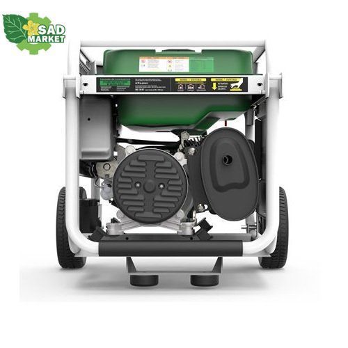 Генератор двухтопливный GENERGY NATURA 3000 3/2,6 кВт 240051090 фото