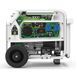 Генератор двухтопливный GENERGY NATURA 3000 3/2,6 кВт 240051090 фото 7