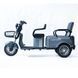 Трицикл акумуляторний FORTE CARGO-P800, Сірий 145420 фото 2