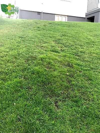 Штучна трава до газонокосарок-роботів Husqvarna 2х10 м, 170 зелених кілочків 5988960-02 фото