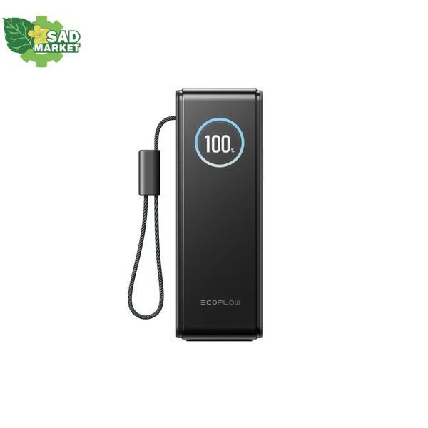 Повербанк EcoFlow RAPID Power Bank с кабелями 25000mAh черный EF-RAPID25K100W-B-EU фото