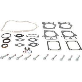 Набор прокладок двигателя BRIGGS&STRATTON (44N677-0017-B1) 84001915 фото