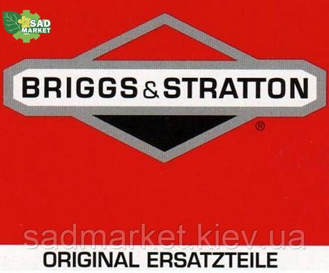 Кольца поршневые двигателя BRIGGS&STRATTON 699658 фото