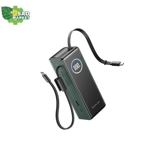 Повербанк EcoFlow RAPID Power Bank с кабелями 25000mAh зеленый EF-RAPID25K100W-G-EU фото