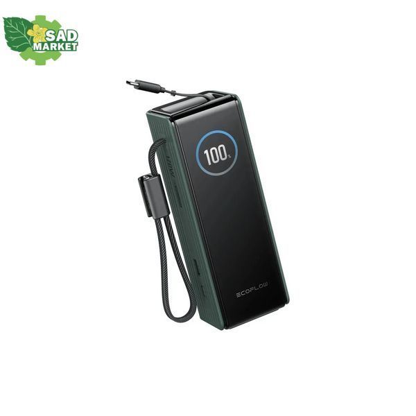 Повербанк EcoFlow RAPID Power Bank с кабелями 25000mAh зеленый EF-RAPID25K100W-G-EU фото