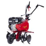 Культиватор бензиновый EUROSYSTEMS Euro 5 Evo, Briggs & Stratton CR950 946450000 фото