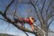 Система страховки арбориста Husqvarna Climbing 150 кг 2.5 кг (5340986-01) 5340986-01 фото 5