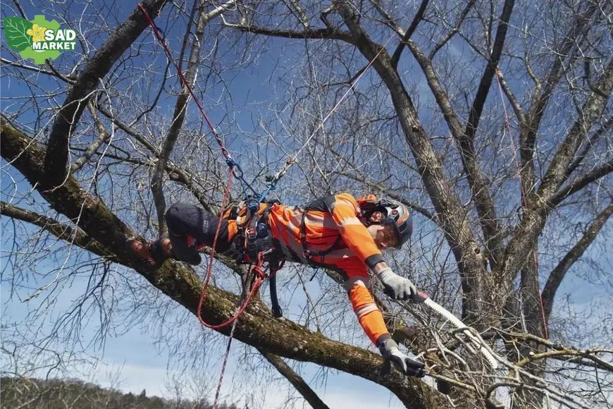 Система страховки арбориста Husqvarna Climbing 150 кг 2.5 кг 5340986-01 фото