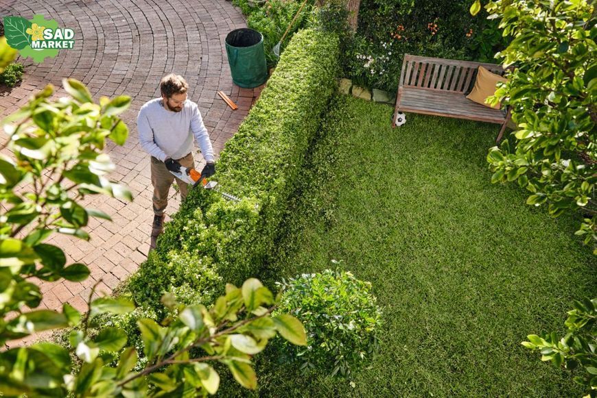 Ножницы для живой изгороди аккумуляторные Stihl HSA 30 HA080113501 фото