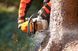 Бензопила STIHL MS 363, 40 см MB012000093 фото 5