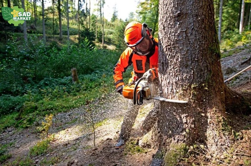 Бензопила STIHL MS 363, 40 см MB012000093 фото