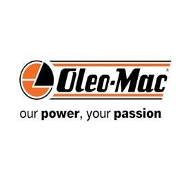 Пружина курка газу до бензопил Oleo-Mac GS 650, GS 651 50250122 фото
