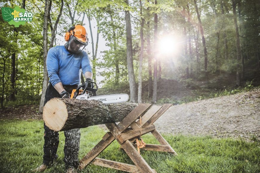 Бензопила STIHL MS 250, 40см 11232000760 фото