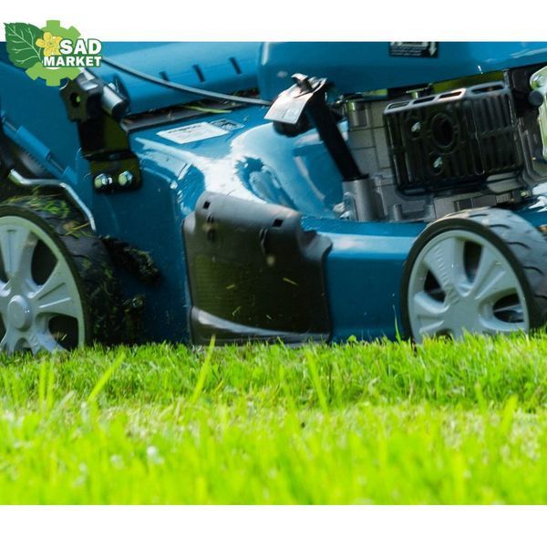 Газонокосилка бензиновая HYUNDAI L4310 L 4310 фото