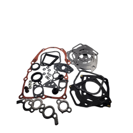 Комплект прокладок двигуна Briggs & Stratton серій 294400, 303400, 304400, 354400, 359400 84006710 фото