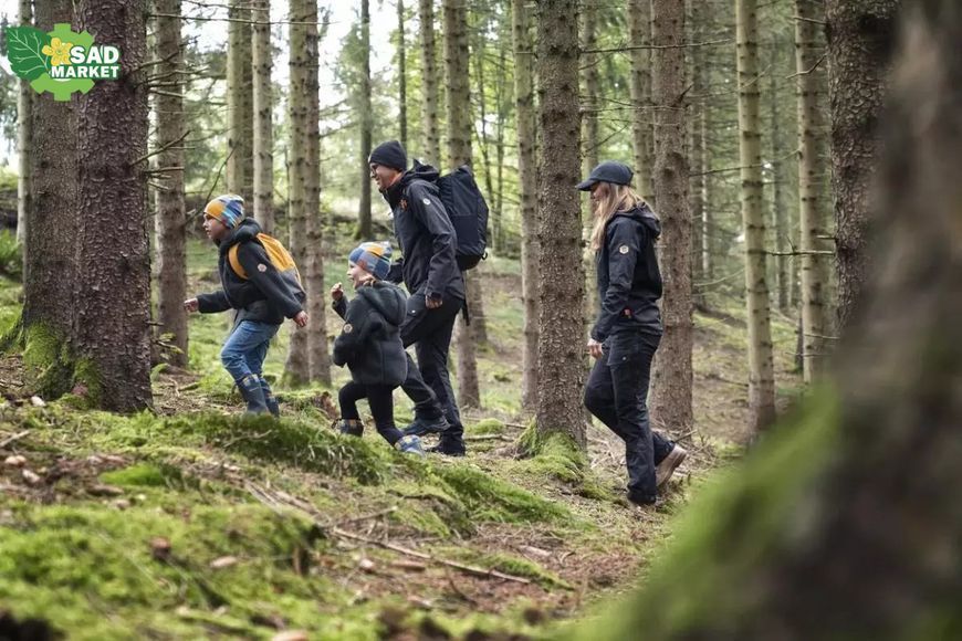 Брюки для активного отдыха Husqvarna Xplorer Short серые, L-54/56, -5см по длине 5361575-53 фото