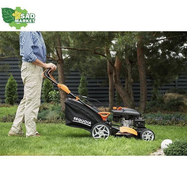 Газонокосилка бензиновая SEQUOIA SPLM4600 SPLM4600 фото